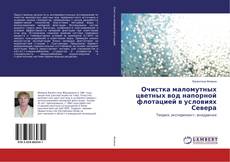 Buchcover von Очистка маломутных цветных вод напорной флотацией в условиях Севера