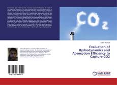 Copertina di Evaluation of Hydrodynamics and Absorption Efficiency to Capture CO2