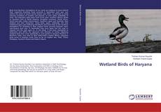 Buchcover von Wetland Birds of Haryana