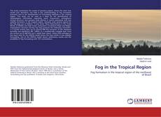Copertina di Fog in the Tropical Region