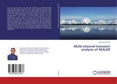 Buchcover von Multi-channel transient analysis of SEALER