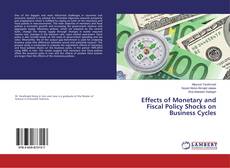 Copertina di Effects of Monetary and Fiscal Policy Shocks on Business Cycles