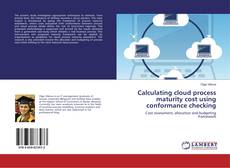 Copertina di Calculating cloud process maturity cost using conformance checking