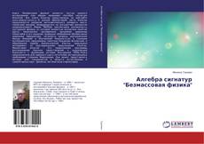 Buchcover von Алгебра сигнатур "Безмассовая физика"