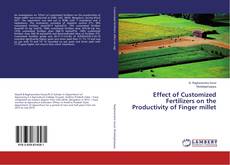 Copertina di Effect of Customized Fertilizers on the Productivity of Finger millet