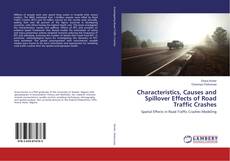 Copertina di Characteristics, Causes and Spillover Effects of Road Traffic Crashes