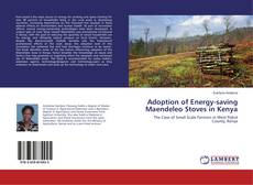 Copertina di Adoption of Energy-saving Maendeleo Stoves in Kenya