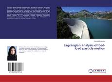 Buchcover von Lagrangian analysis of bed-load particle motion