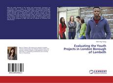 Copertina di Evaluating the Youth Projects in London Borough of Lambeth