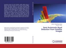 Copertina di Semi Automatic Road Detection from Satellite Images