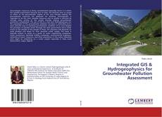 Copertina di Integrated GIS & Hydrogeophysics for Groundwater Pollution Assessment