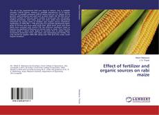 Copertina di Effect of fertilizer and organic sources on rabi maize