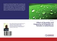 Copertina di Effect of Quantity and Frequency of Irrigation on Tomato in Greenhouse