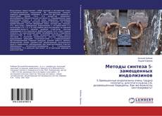 Bookcover of Методы синтеза 5-замещенных индолизинов