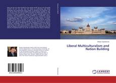 Buchcover von Liberal Multiculturalism and Nation Building