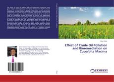 Copertina di Effect of Crude Oil Pollution and Bioremediation on Cucurbita Maxima