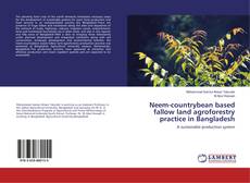 Copertina di Neem-countrybean based fallow land agroforestry practice in Bangladesh