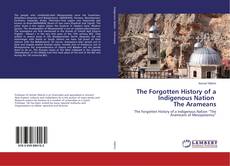 Copertina di The Forgotten History of a Indigenous Nation The Arameans