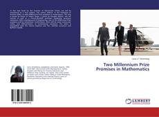 Copertina di Two Millennium Prize Promises in Mathematics