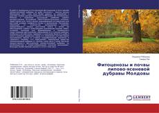 Buchcover von Фитоценозы и почвы липово-ясеневой дубравы Молдовы