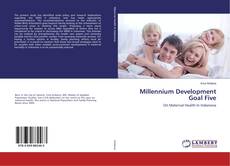 Buchcover von Millennium Development Goal Five