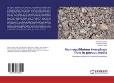 Buchcover von Non-equilibrium two-phase flow in porous media