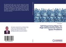 Copertina di Self-Organizing Maps for High Dimensional Feature Space Problems