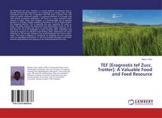 Copertina di TEF [Eragrostis tef Zucc. Trotter]: A Valuable Food and Feed Resource