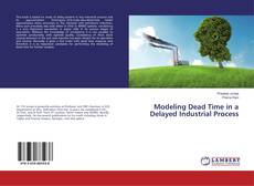 Buchcover von Modeling Dead Time in a Delayed Industrial Process