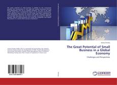 Capa do livro de The Great Potential of Small Business in a Global Economy 