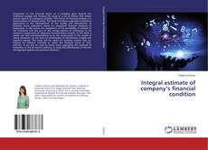 Buchcover von Integral estimate of company’s financial condition