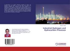 Buchcover von Industrial Hydrogen and Hydrocarbon Processes