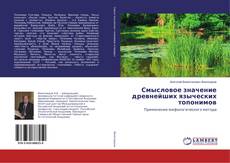 Buchcover von Смысловое значение древнейших языческих топонимов