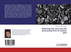Bookcover of Reducing the cost and the processing time of carbon gels