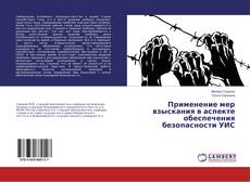 Copertina di Применение мер взыскания в аспекте обеспечения безопасности УИС