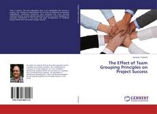 Buchcover von The Effect of Team Grouping Principles on Project Success