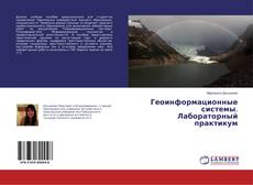 Copertina di Геоинформационные системы. Лабораторный практикум