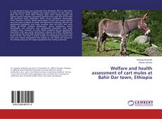 Copertina di Welfare and health assessment of cart mules at Bahir Dar town, Ethiopia