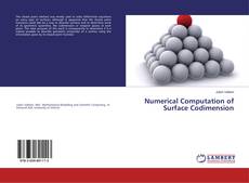 Buchcover von Numerical Computation of Surface Codimension