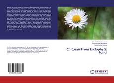 Buchcover von Chitosan From Endophytic Fungi