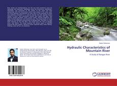Buchcover von Hydraulic Characteristics of Mountain River