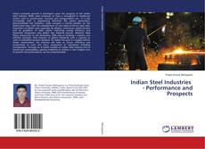 Copertina di Indian Steel Industries - Performance and Prospects