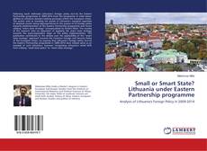 Copertina di Small or Smart State? Lithuania under Eastern Partnership programme