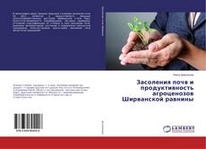 Copertina di Засоления почв и продуктивность агроценозов Ширванской равнины