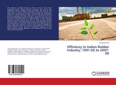 Bookcover of Efficiency in Indian Rubber Industry: 1991-92 to 2007-08