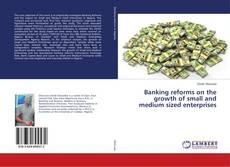 Copertina di Banking reforms on the growth of small and medium sized enterprises
