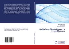 Buchcover von Multiphase Simulations of a Lyocell Process
