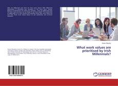 Buchcover von What work values are prioritised by Irish Millennials?