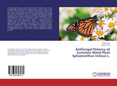 Buchcover von Antifungal Potency of Common Weed Plant Sphaeranthus Indicus L.