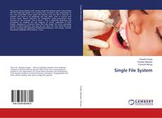 Buchcover von Single File System